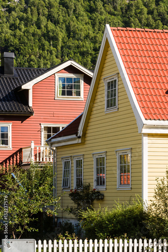 Colored Houses at Øvre Årdal at the 55, Norway