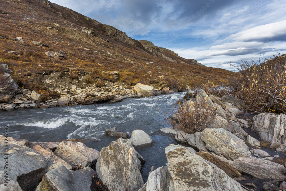 Savage River in Denali National Park Savage River in Denali National Park