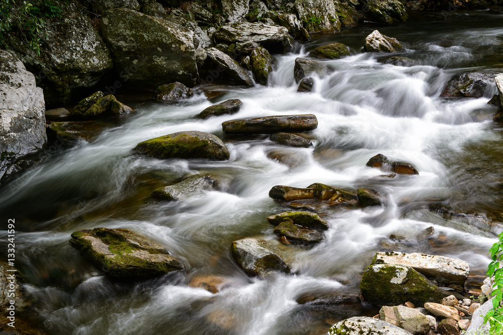 Great Smokies Stream Great Smokies Stream