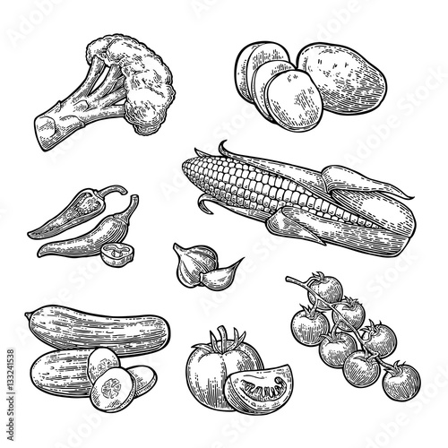 Set vegetables. Cucumbers, Garlic, Corn, Pepper, Broccoli, Potato and Tomato.