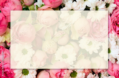 Pink roseflowers background