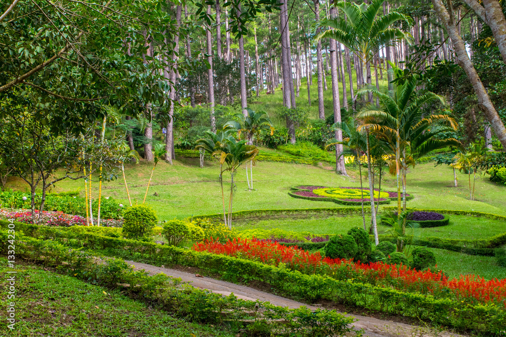 Landscape design of relax tropical garden
