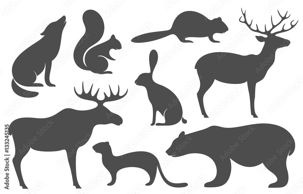 Obraz premium Wild Animals. Silhouette