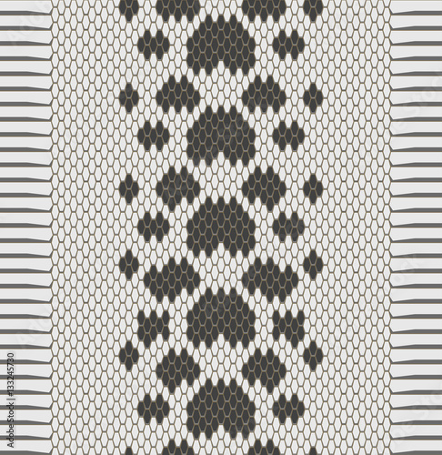 vector graphics snake skin texture