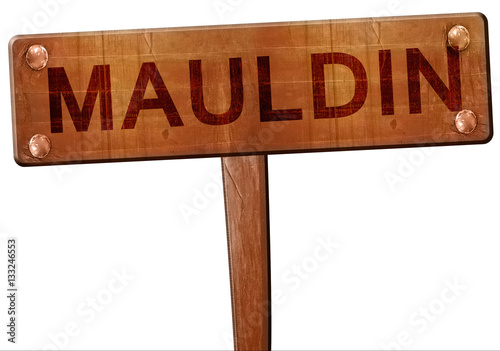 mauldin road sign, 3D rendering photo