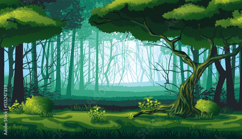 Seamless background of landscape with deep forest.