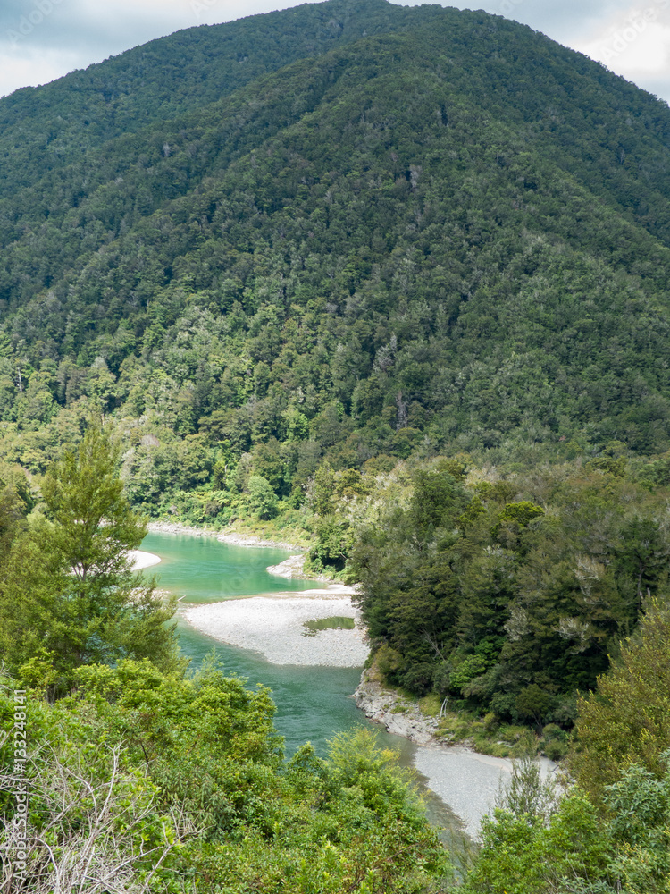 Landscape near Westport West Coast New Zealand (Buller River)