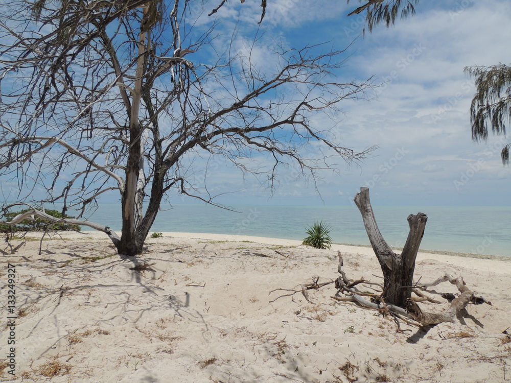 Plage de rêve