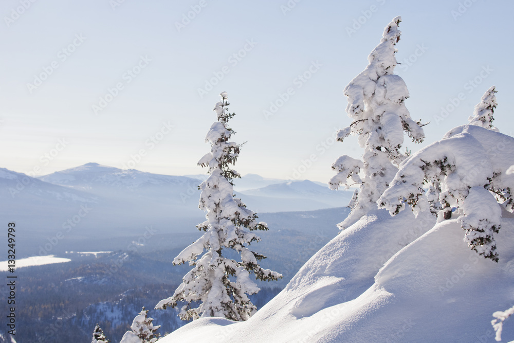 Winter landscape. Mountain range Zyuratkul. Snow covered fir tre