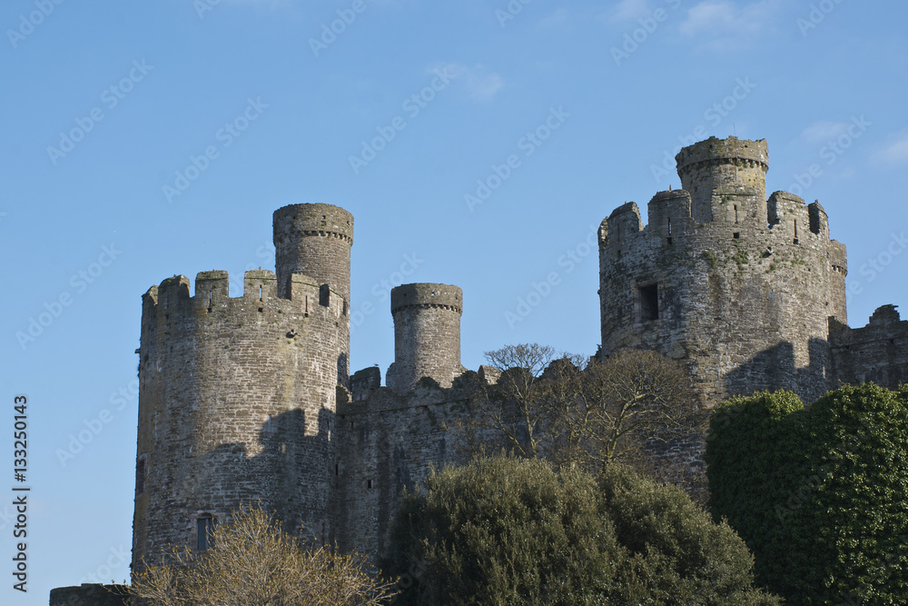 Conwy Castle south side showing blue sky background medieval castle in Britain, Europe. close shot of towers/ turrets