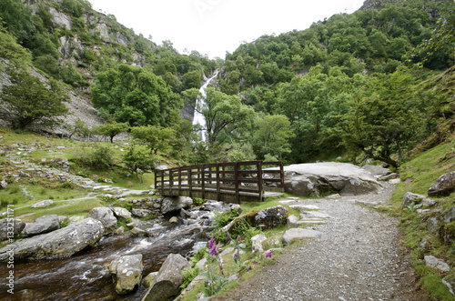 Aber Falls Bridge with river bellow and waterfall in the background,  Summer with  trees and plants surrounding landscape. Abergwyngregyn North Wales UK