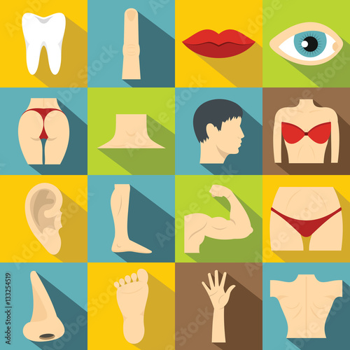 Body parts icons set, flat style