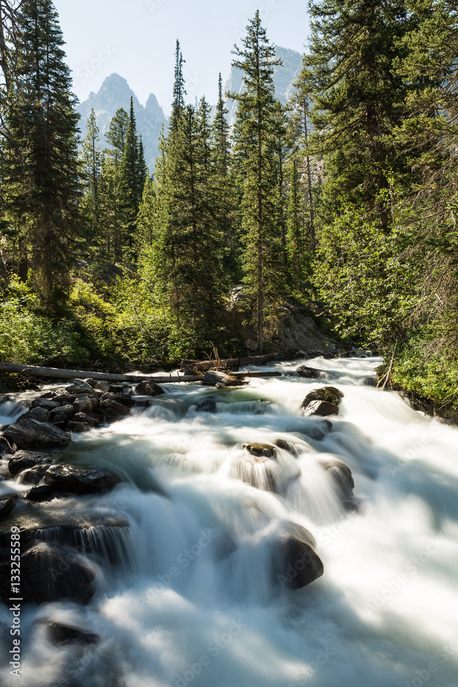 River from Hidden Falls at Inspiration Point near Lake Jenny, Gr River from Hidden Falls at Inspiration Point near Lake Jenny, Gr
