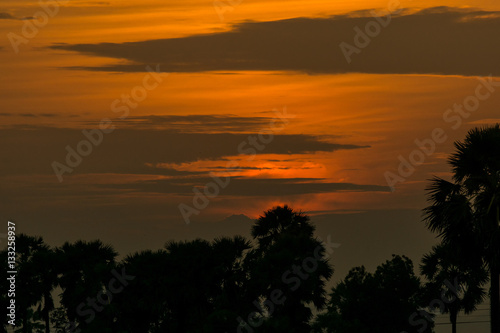 After a beautiful sunset, palm