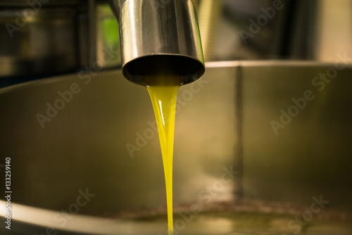 Processing of olive oil in a modern farm. photo