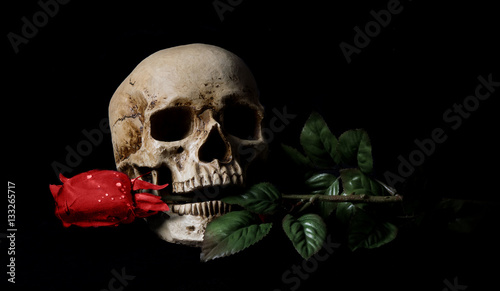 Skull with rose