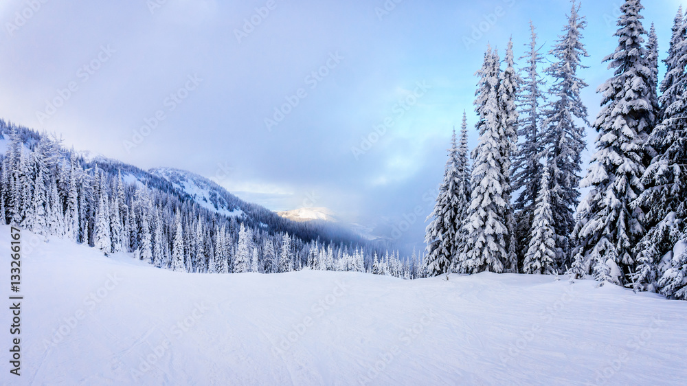 Fototapeta premium Ski Slopes and a Winter Landscape with Snow Covered Trees on the Ski Hills near the village of Sun Peaks in the Shuswap Highlands of central British Columbia, Canada