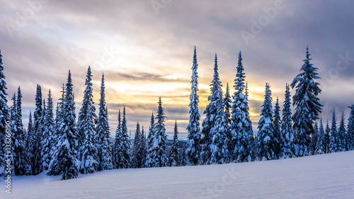 Sunset over the Winter Landscape with Snow Covered Trees on the Ski Hills near the village of Sun Peaks in the Shuswap Highlands of central British Columbia, Canada