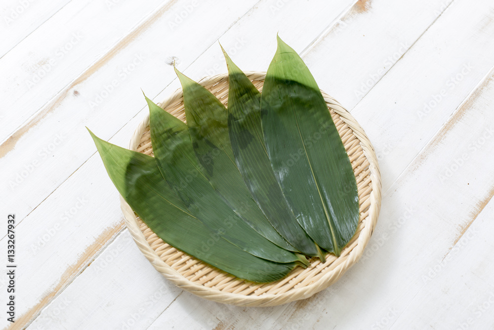 Fototapeta premium 笹の葉