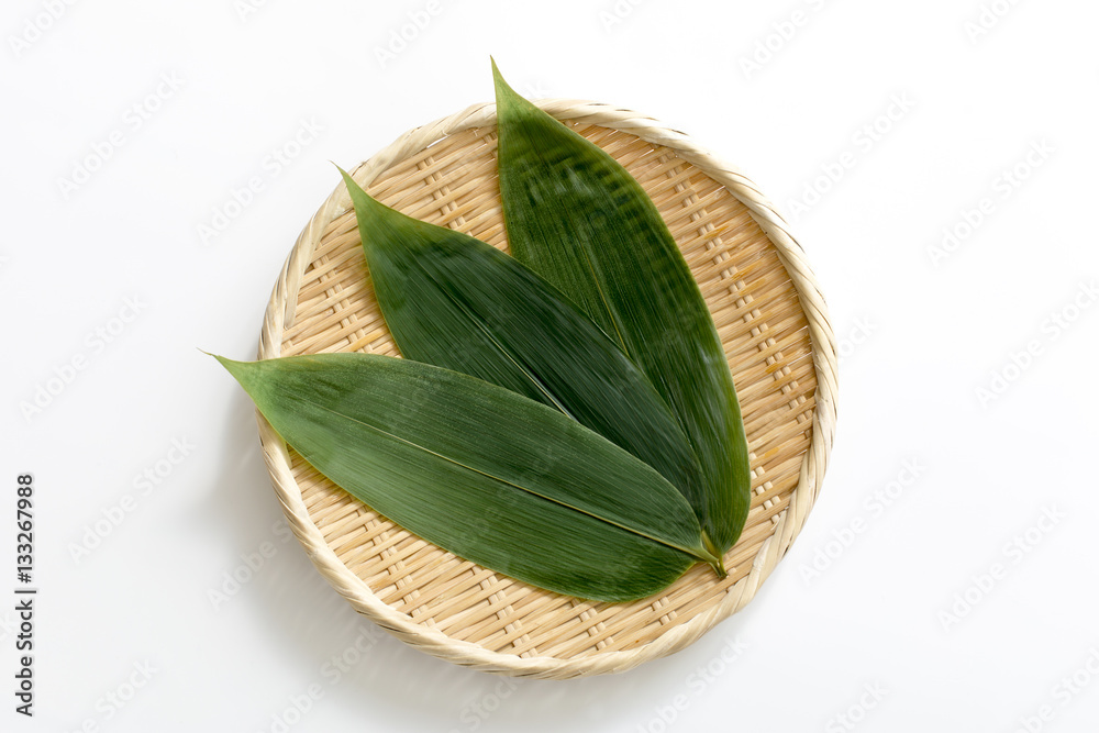 Fototapeta premium 笹の葉