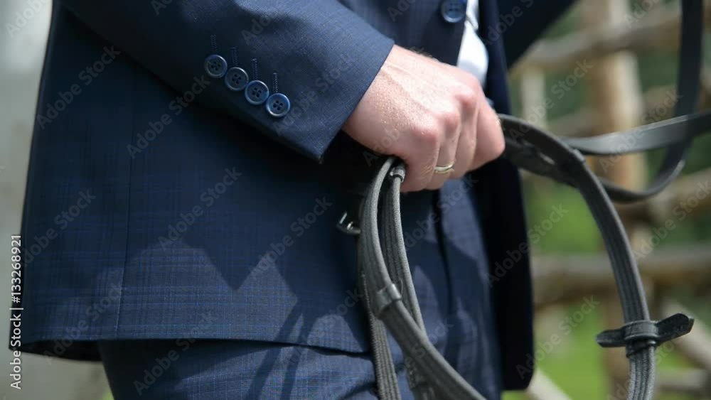 groom holding a white horse by the bridle groom holding a white horse by the bridle