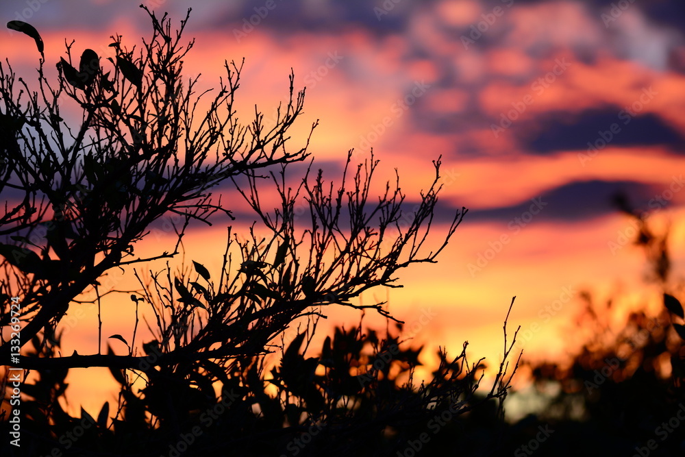 Obraz premium Atardecer