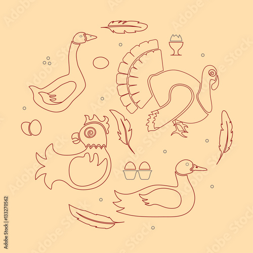 Set logotype poultry farm in modern thin line design. Perfect organic farm products banner or flyer. Vector illustration. eps 10