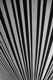 black and white striped background.