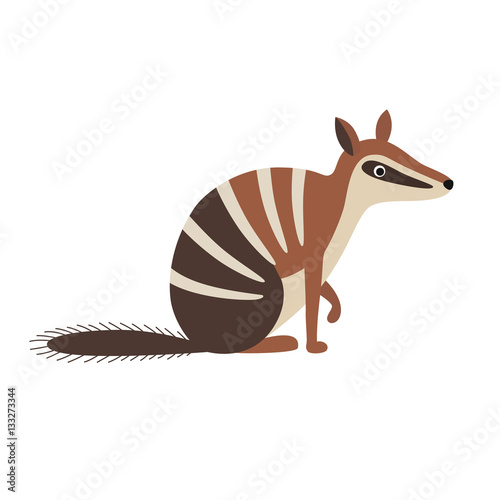 Numbat animal cartoon character