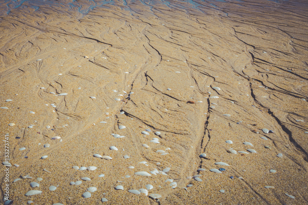 Beautiful sand on the beach with lines from the tide, New Zealand, Abel Tasman National Park