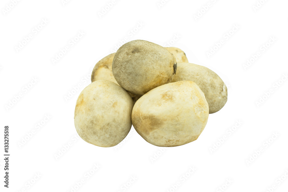 Fototapeta premium Volvariella volvacea, Straw Mushroom on white background..