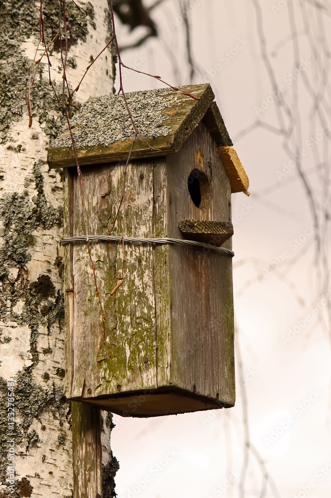 Birdhouse in forest.