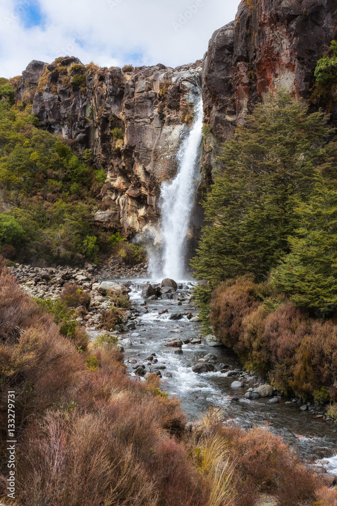 Obraz premium Taranaki Falls
