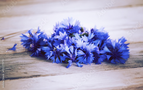 Beautiful wildflowers cornflowers