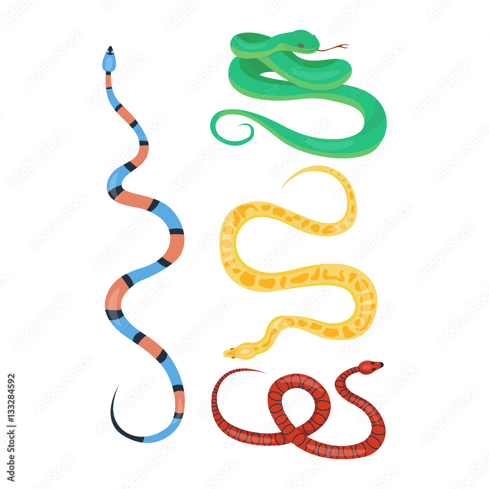 Snake reptile cartoon vector set. Snake reptile cartoon vector set.