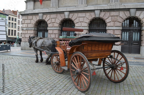 Horse down carriage