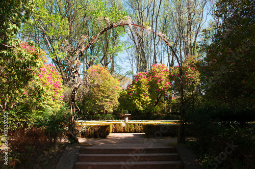 Porto, 27/03/2012: i giardini della Fondazione Serralves, una delle più importanti istituzioni culturali del Portogallo con il suo parco, esempio di Modernismo e Art Deco photo