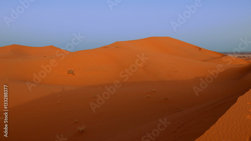 Sahara,Maroc © Daoud