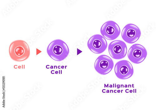cancer cell in human body . anatomy
