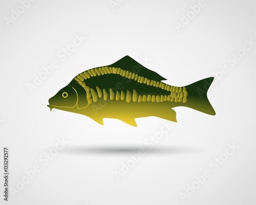carp
