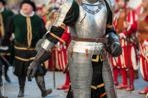 The medieval knights inspection