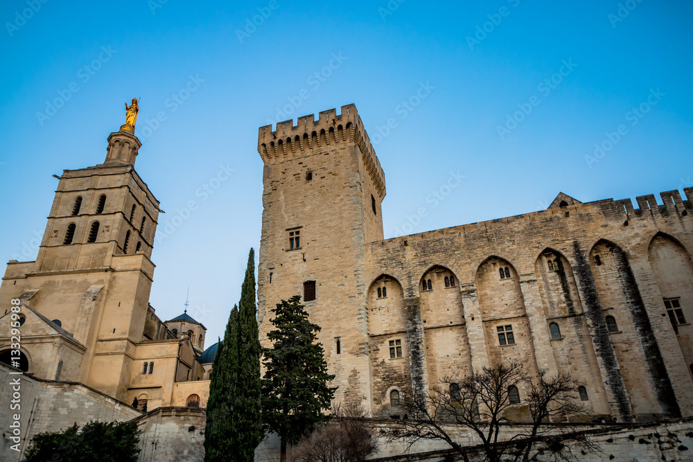 Palais des Papes d'Avignon et Cathédrale Notre-Dame-des-Doms à la nuit venue