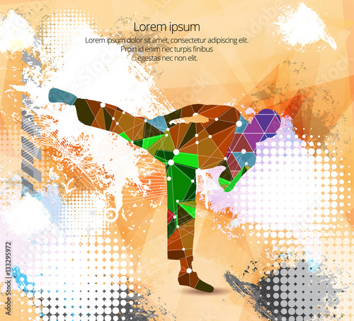 Combat warrior. Karate illustration, vector