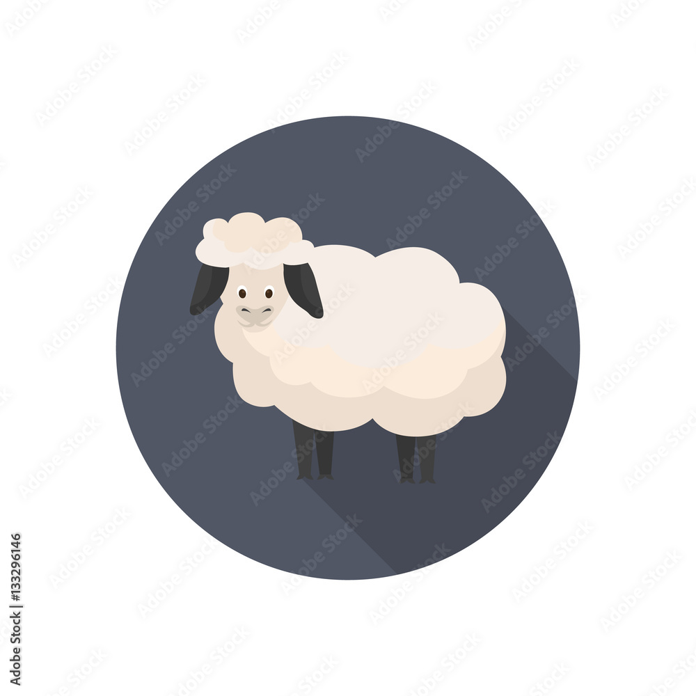Obraz premium Sheep color flat icon for web and mobile design