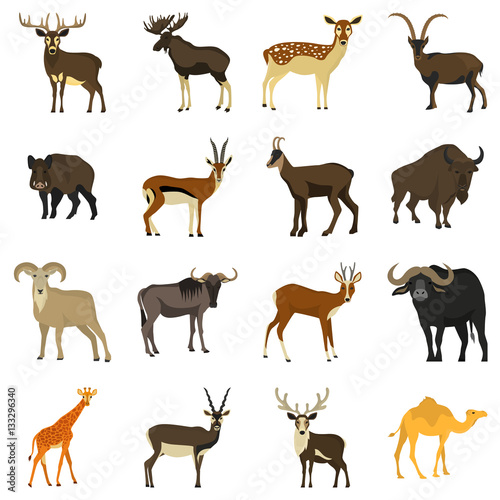 Set of color flat hoofed animals icons