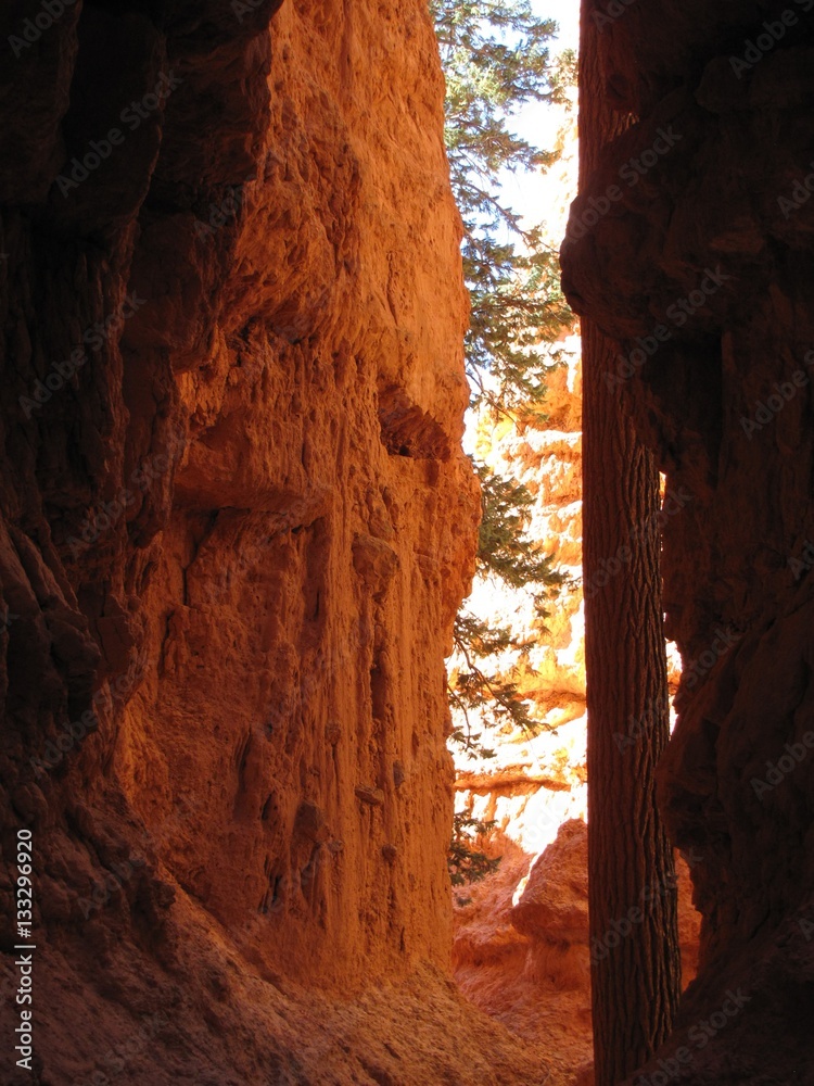 Obraz premium Brice Canyon