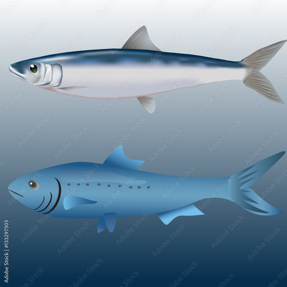Fish Sardine Fish Sardine