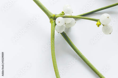 Plakat w ramie Mistletoe