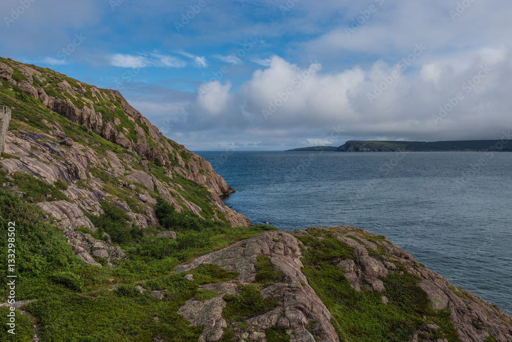 Newfoundland Harbour