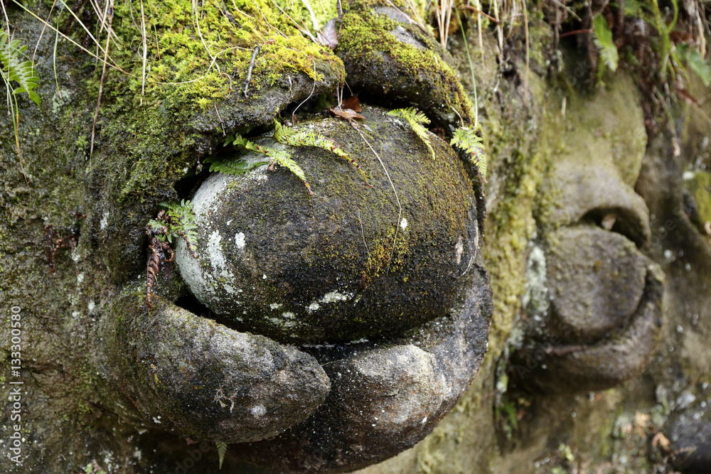 Obraz premium nodule / nodule in Nichinan-cho is called a 